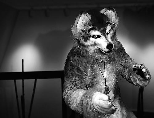 19P Fur!