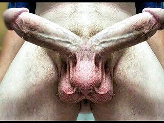 25P Funny Pics By TROC