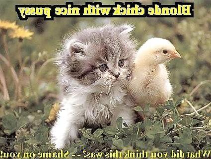 18P Funny 