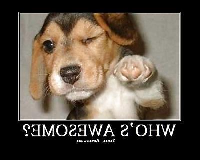 18P Funny 