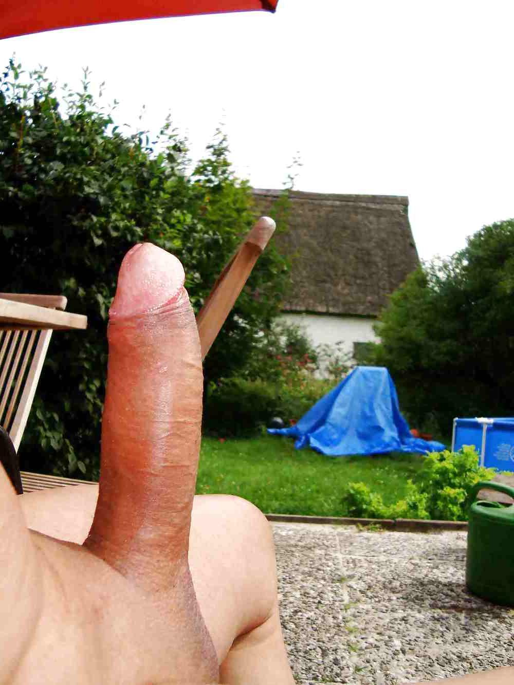 14P Penis und pool
