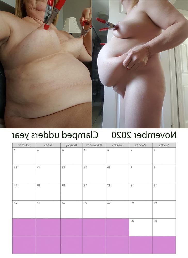 12P pig725 2020 calendar