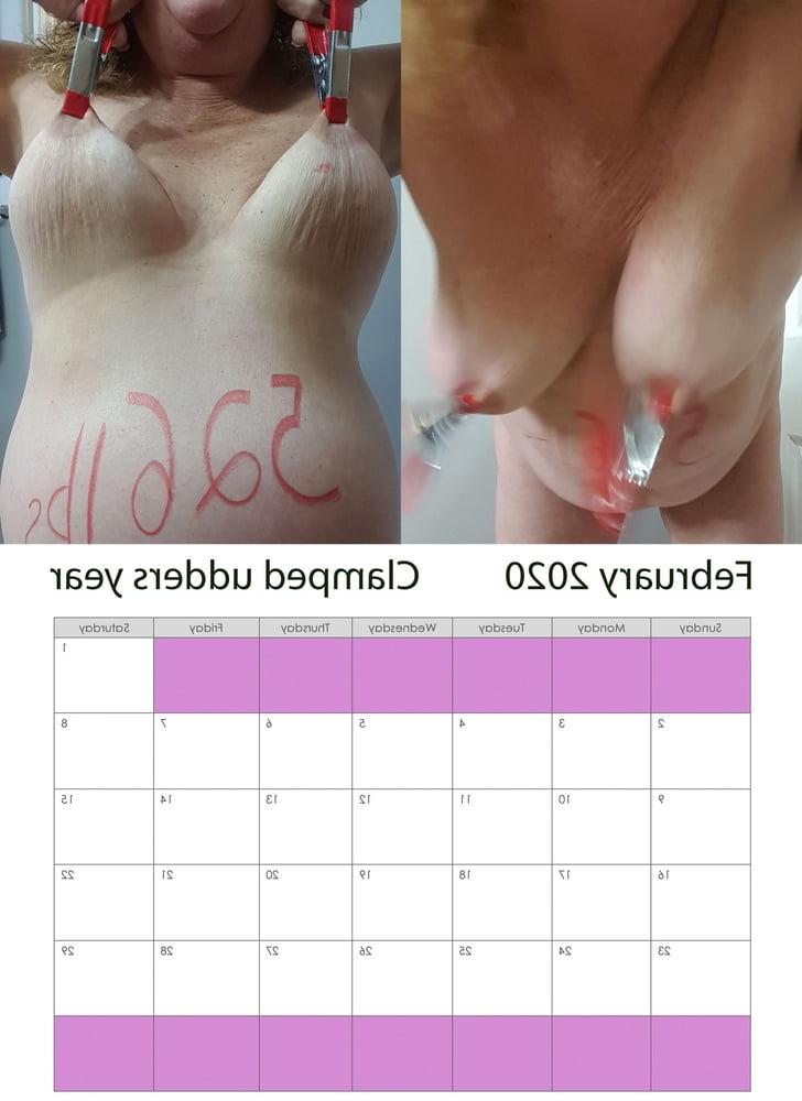 12P pig725 2020 calendar