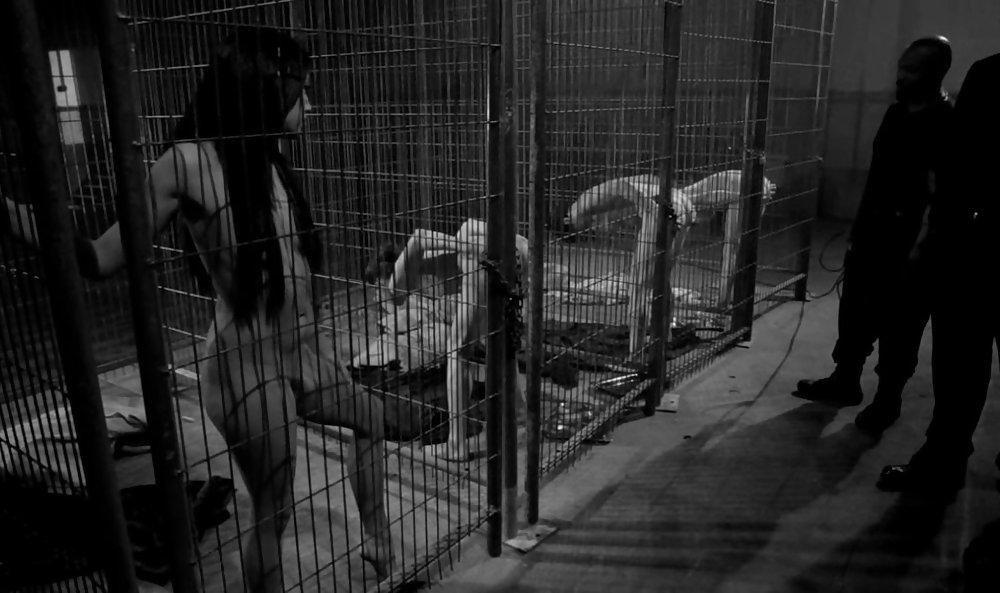 25P Cage 13!