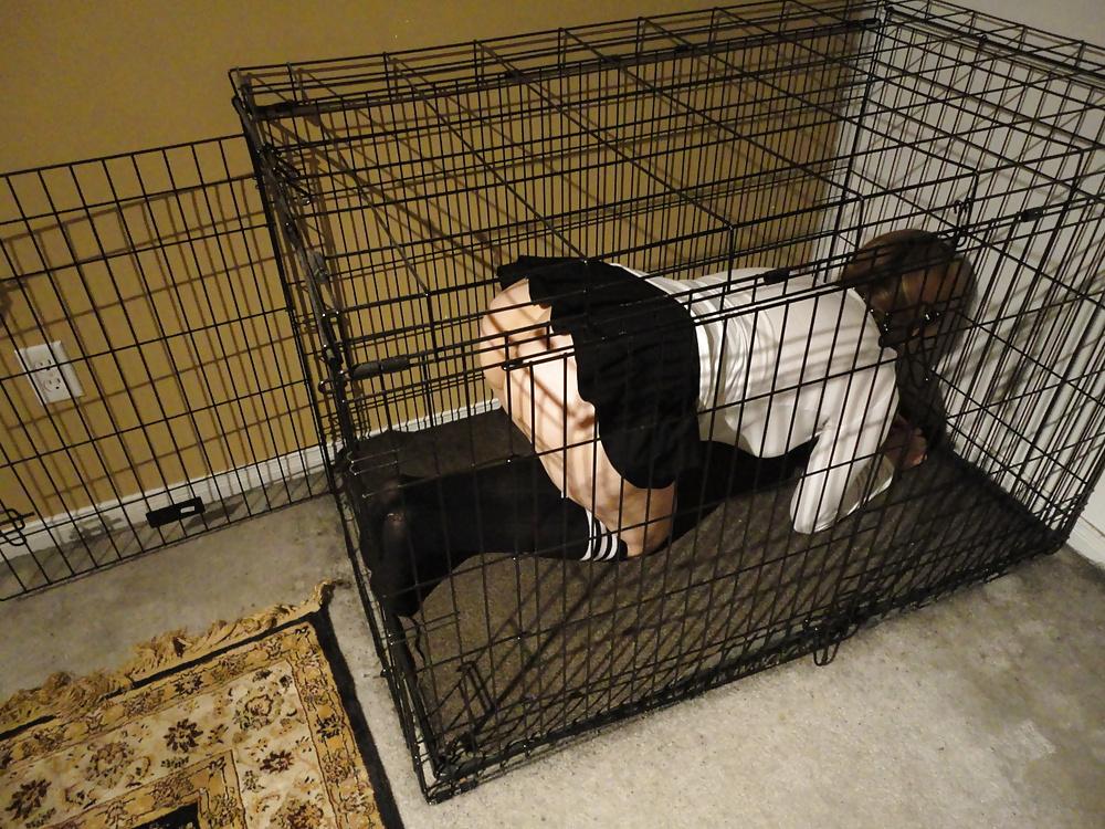 25P Cage 13!