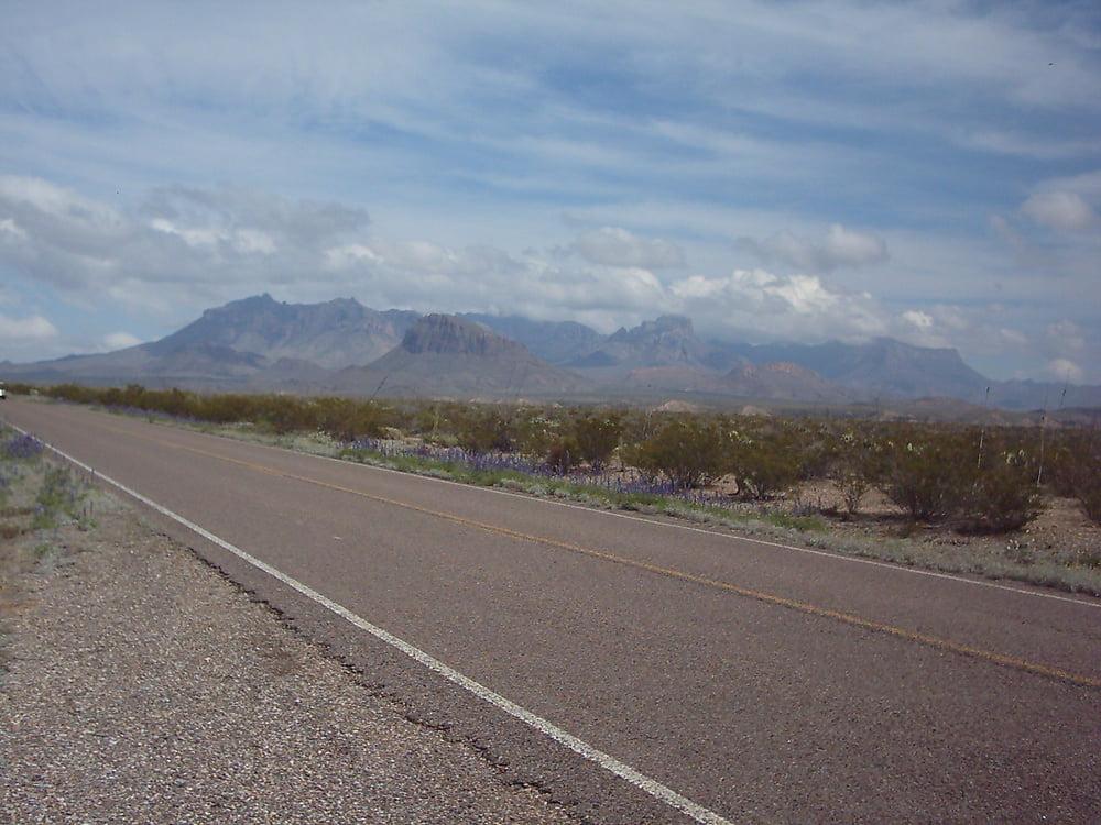 25P Bluebonnets in bloom, Big Bend Nat'l Park, TX, Spring 2007