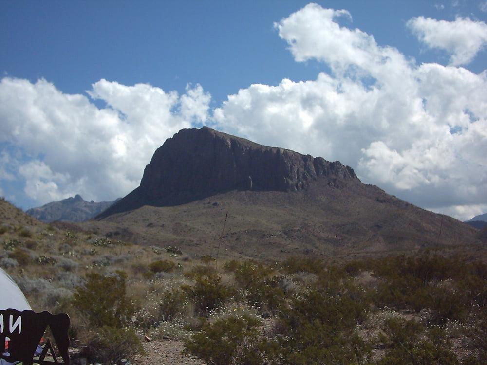 25P Bluebonnets in bloom, Big Bend Nat'l Park, TX, Spring 2007