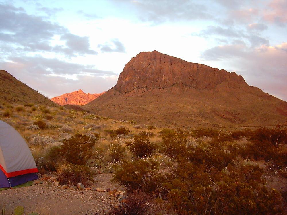 25P Bluebonnets in bloom, Big Bend Nat'l Park, TX, Spring 2007