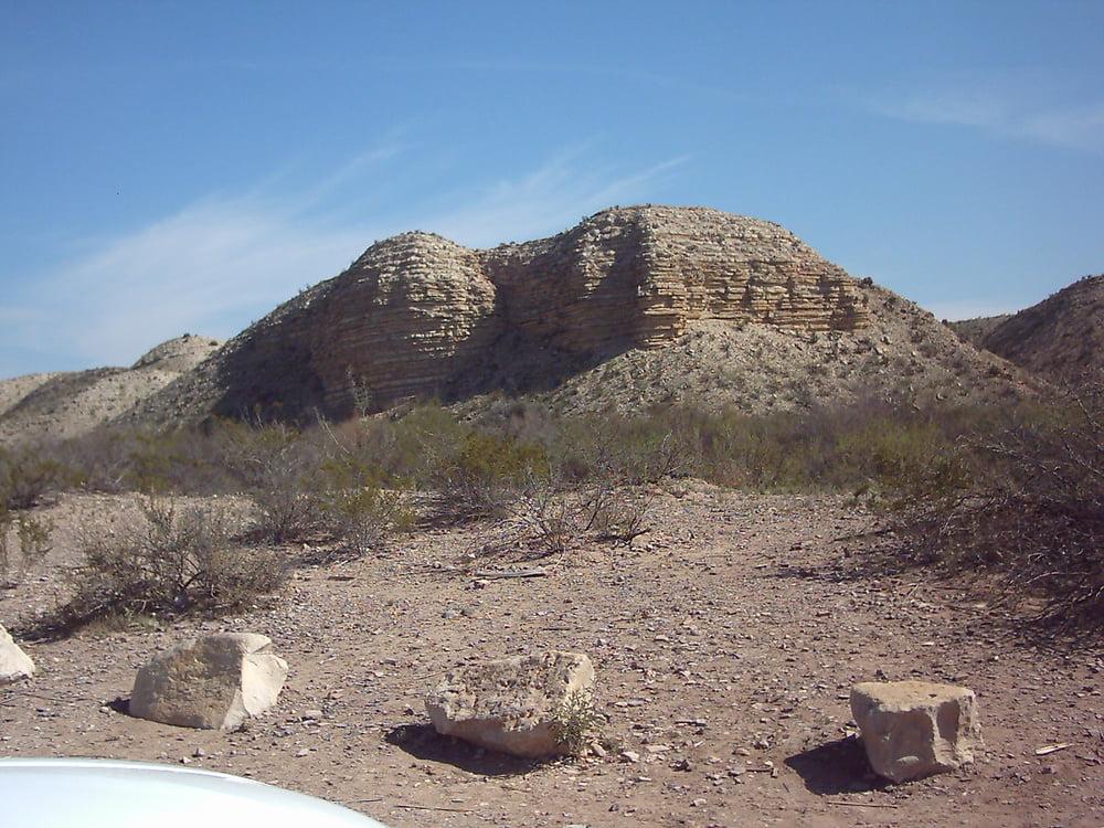 25P Bluebonnets in bloom, Big Bend Nat'l Park, TX, Spring 2007