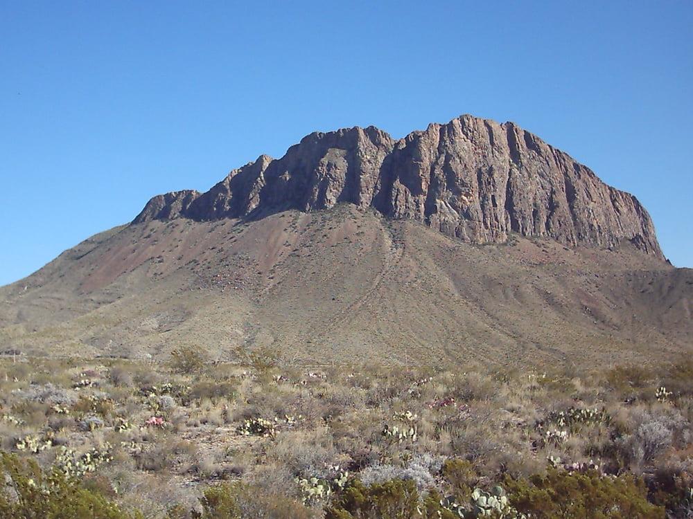 25P Bluebonnets in bloom, Big Bend Nat'l Park, TX, Spring 2007