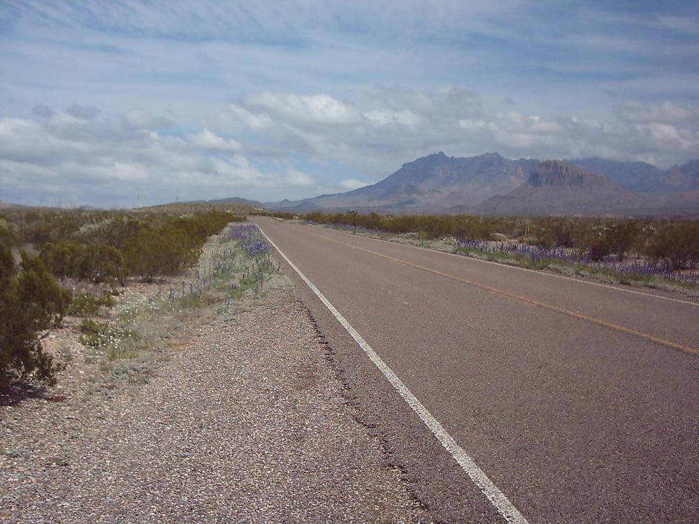 25P Bluebonnets in bloom, Big Bend Nat'l Park, TX, Spring 2007