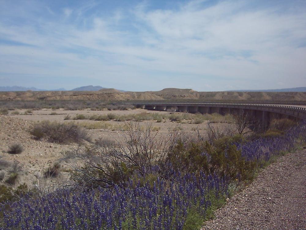 25P Bluebonnets in bloom, Big Bend Nat'l Park, TX, Spring 2007