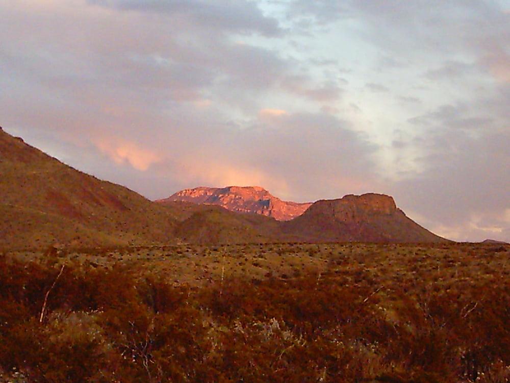 25P Bluebonnets in bloom, Big Bend Nat'l Park, TX, Spring 2007