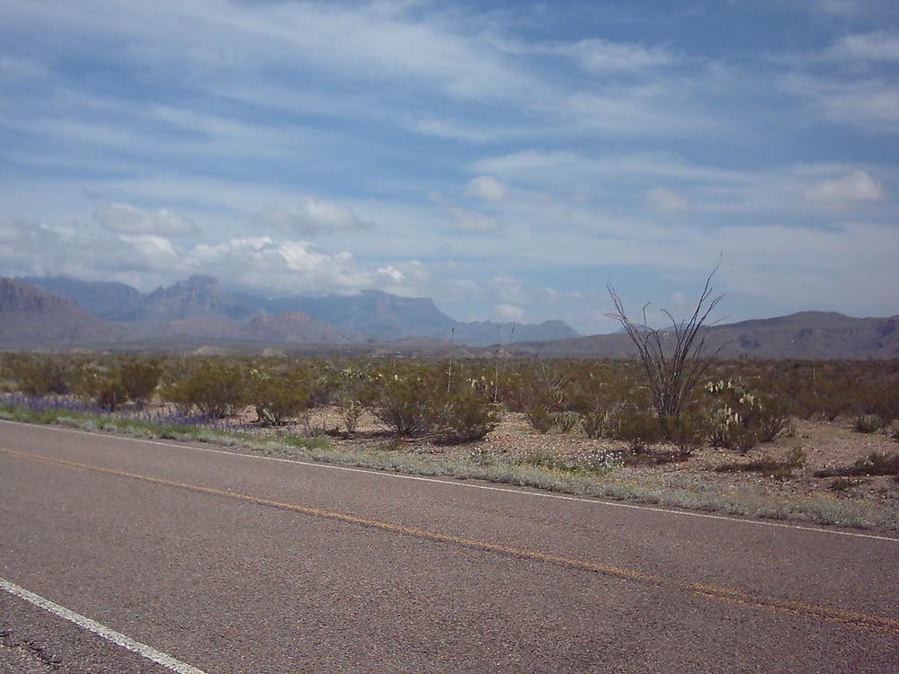 25P Bluebonnets in bloom, Big Bend Nat'l Park, TX, Spring 2007
