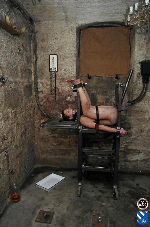 15P Dominance and Submission Pt1