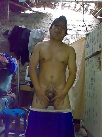 6P PENE PERUANO