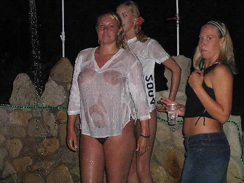 19P Swedish party