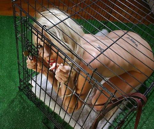 14P Caged pets