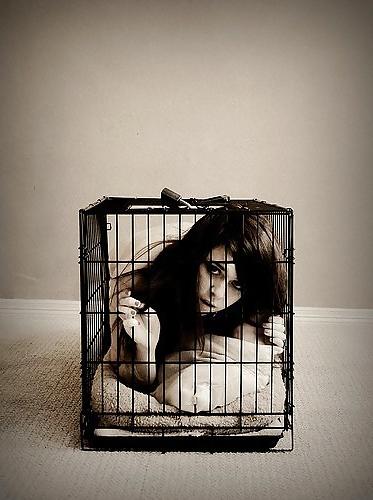 14P Caged pets