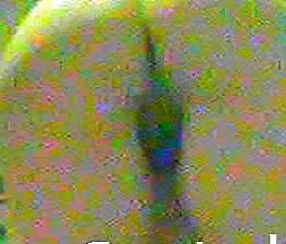 23P Matures on hidden cam