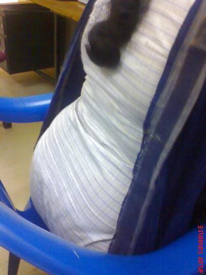 10P Hot home made ass pictures
