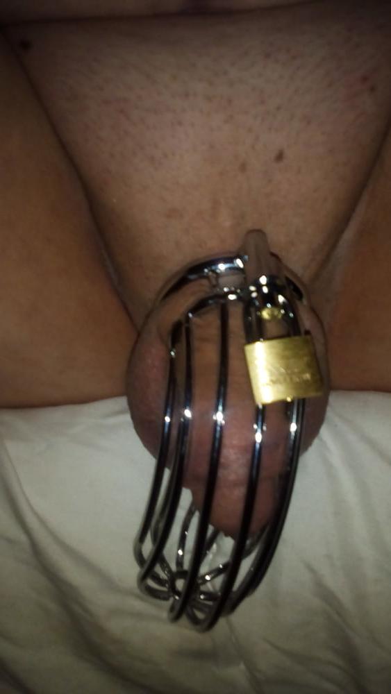 9P Penis cage pics: no orgasm for 3 weeks.