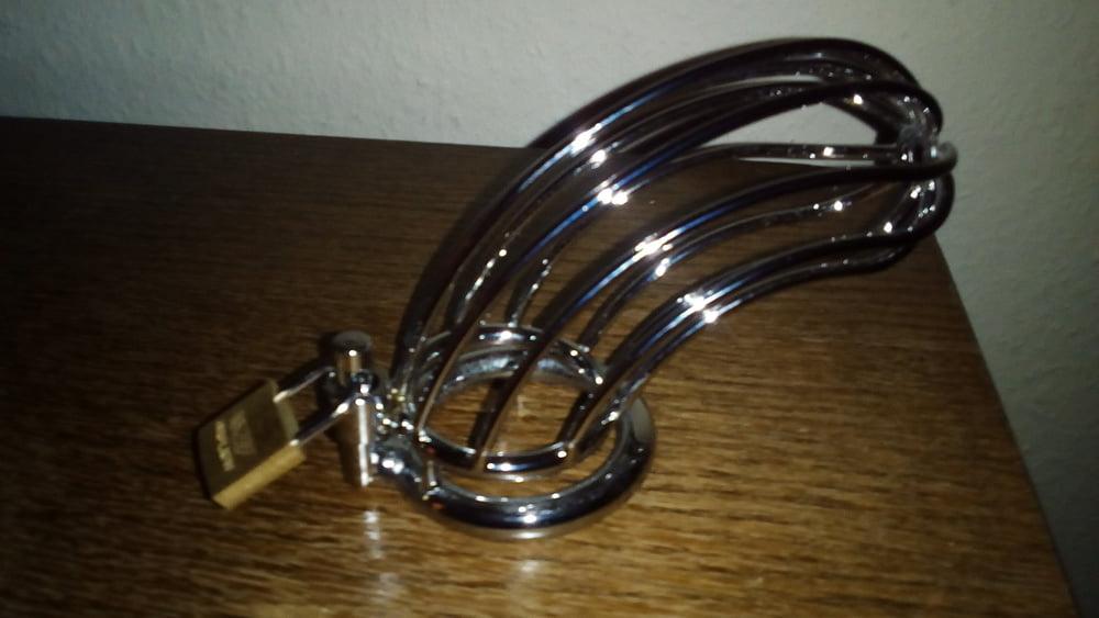 9P Penis cage pics: no orgasm for 3 weeks.