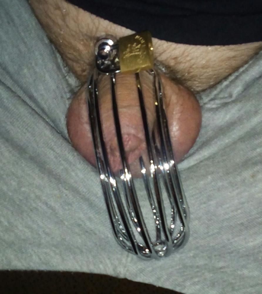 9P Penis cage pics: no orgasm for 3 weeks.