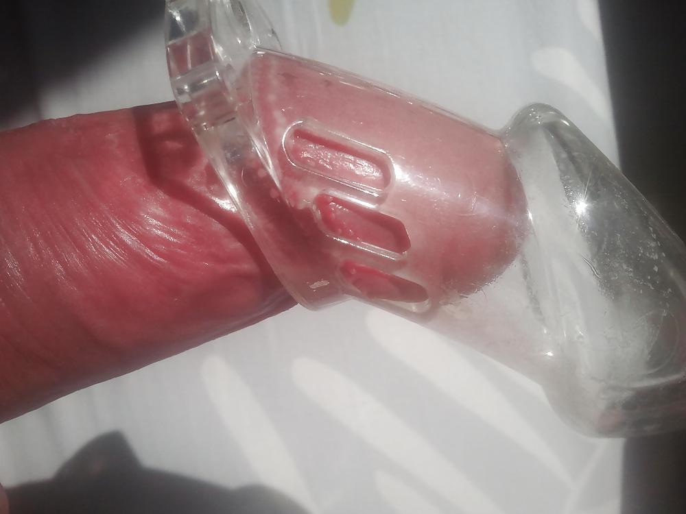 6P Chastity cage