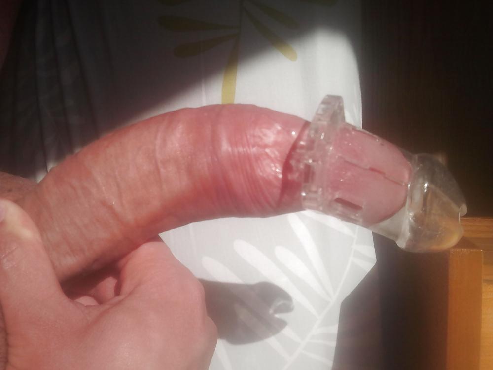 6P Chastity cage