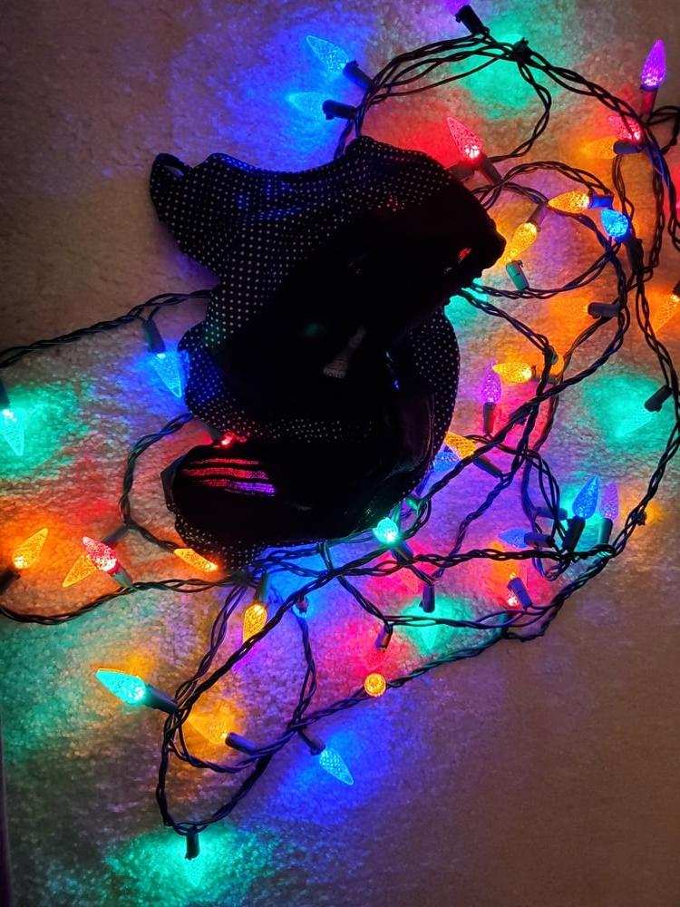 13P Sexy milf's holiday lights show