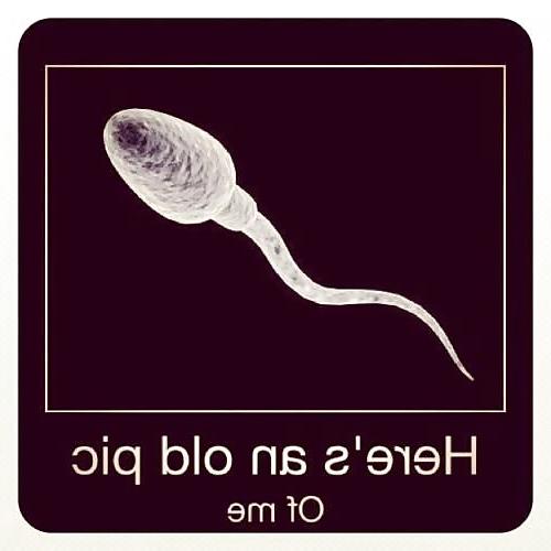 25P Humor Funny