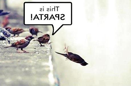 25P Humor Funny