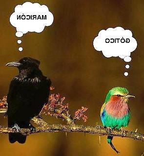25P Humor Funny