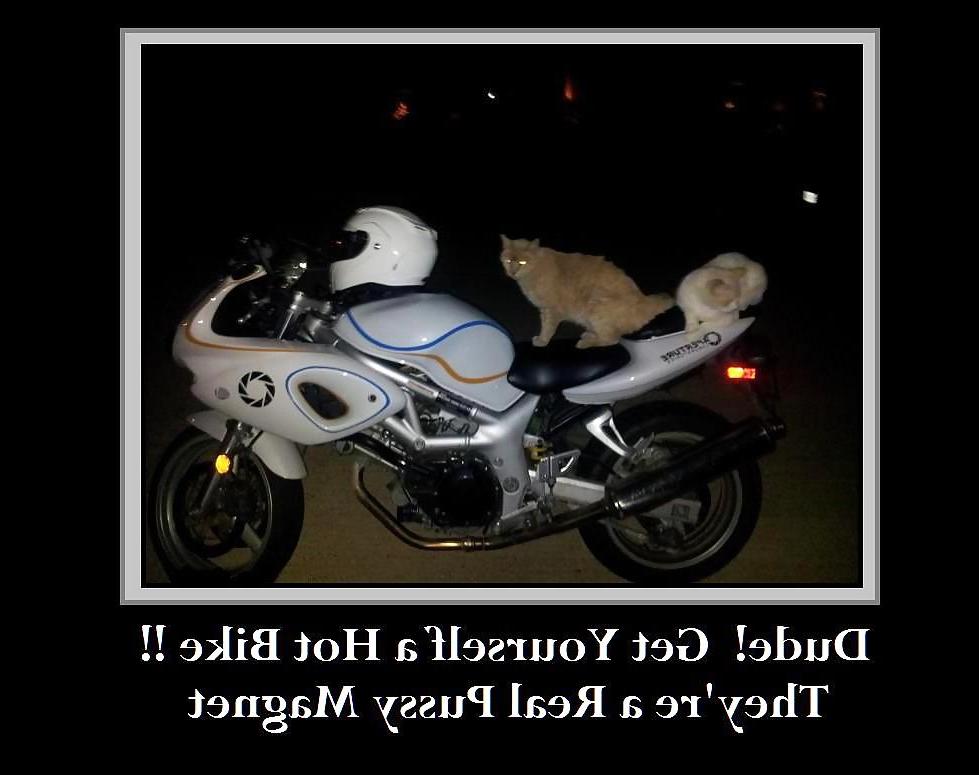 20P Funny Sexy Captioned Pix & Posters XXII  81512