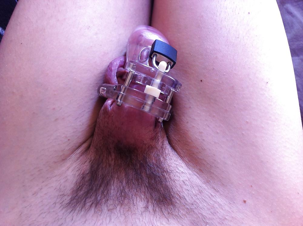 4P En cage