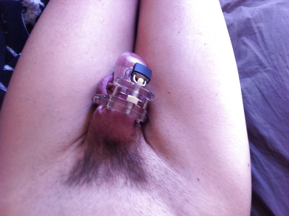 4P En cage