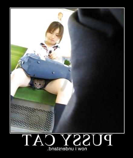 23P Funny