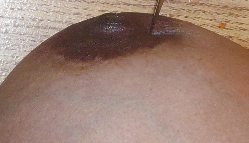25P Self Tit Torture & Torment