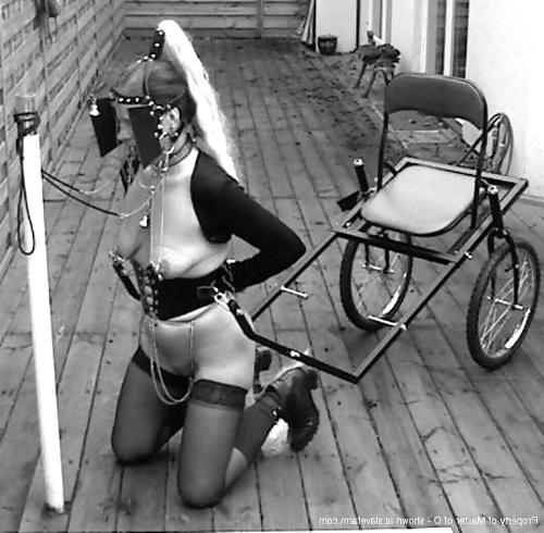 21P Pony-Girl 2!