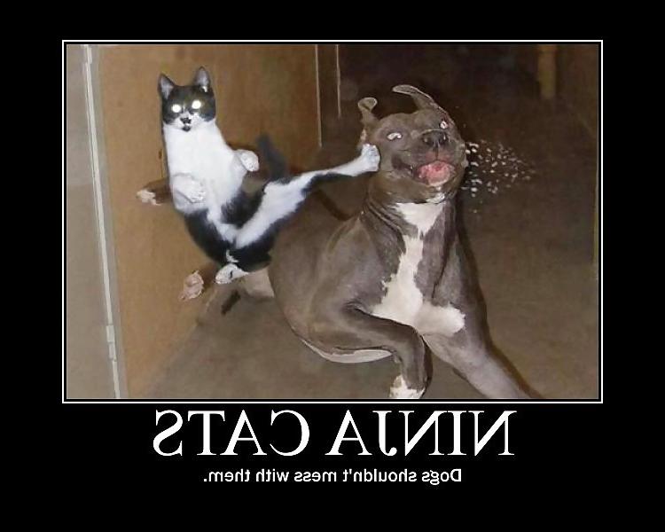 25P Funny!