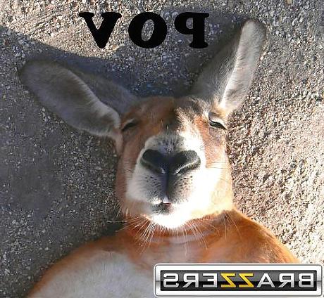 25P Something funny 5