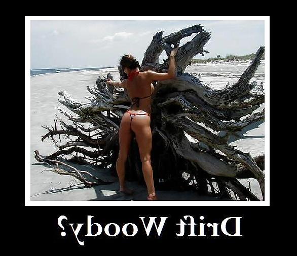 20P Funny Sexy Captioned Pictures & Posters C 102112