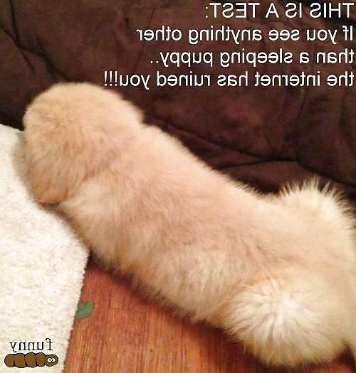 25P Funny facebook pics