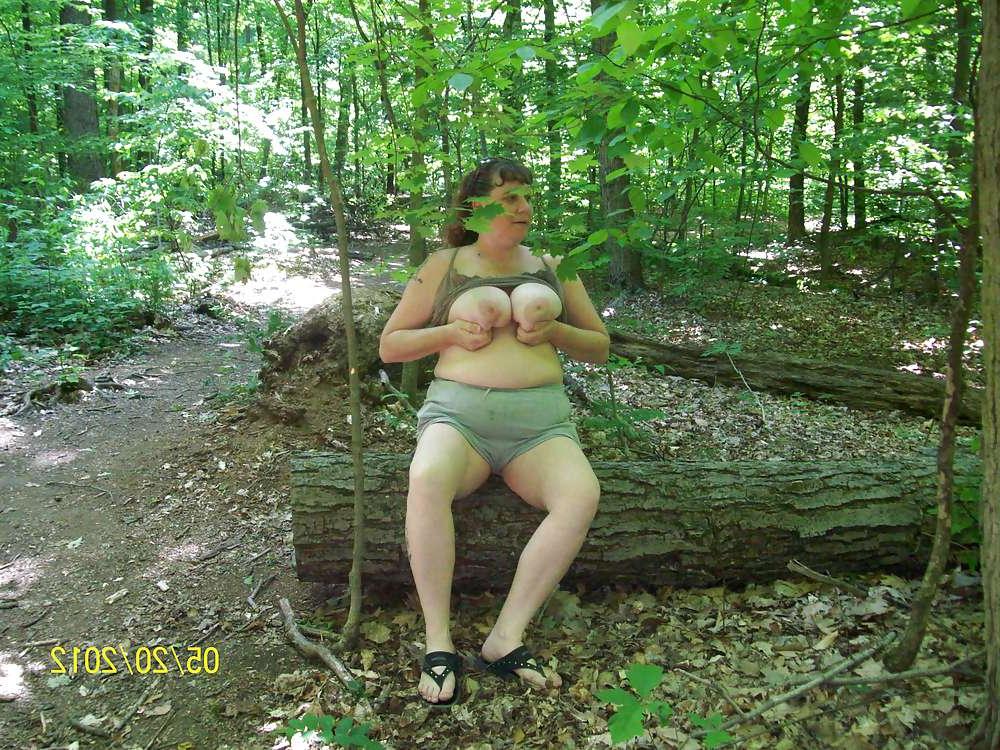 12P Ausgestellt in einem örtlichen State Park