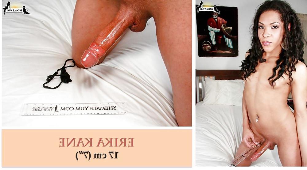12P Shemale cock sizes