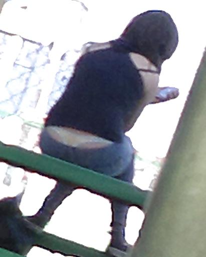 7P Voyeur, 