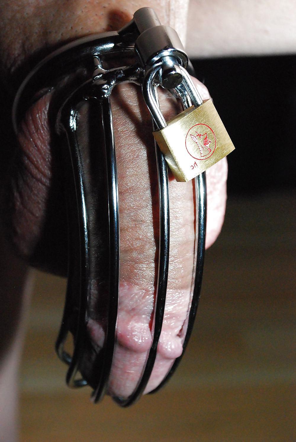 25P Caged Cocks, Cuckold Penis in Cages