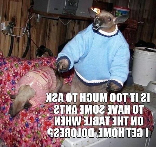 25P Funny #2
