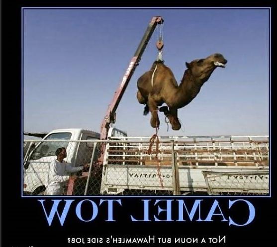 25P Funny #2